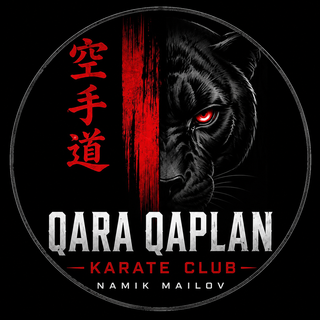 Qara Qaplan