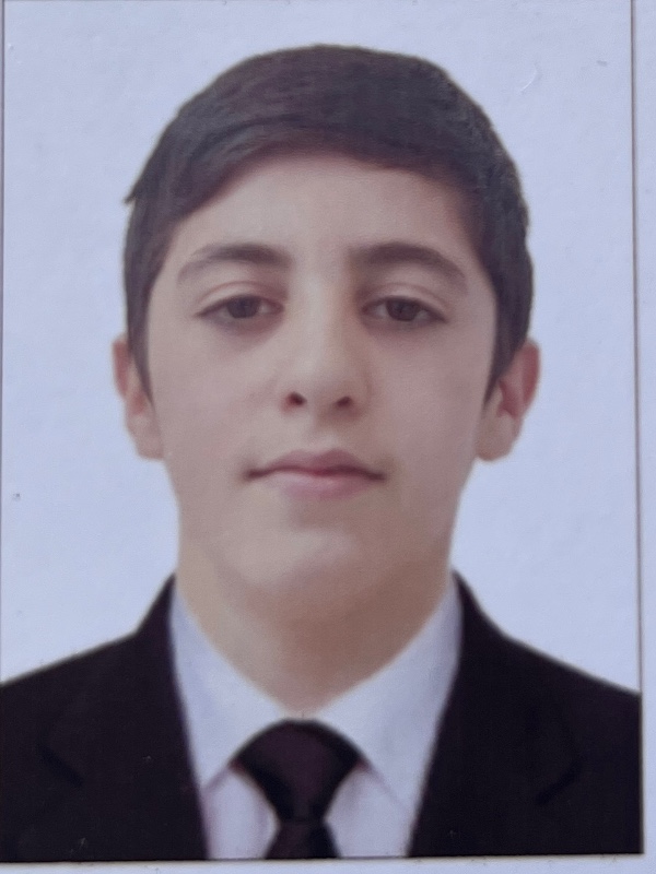 Əli Mehdiyev