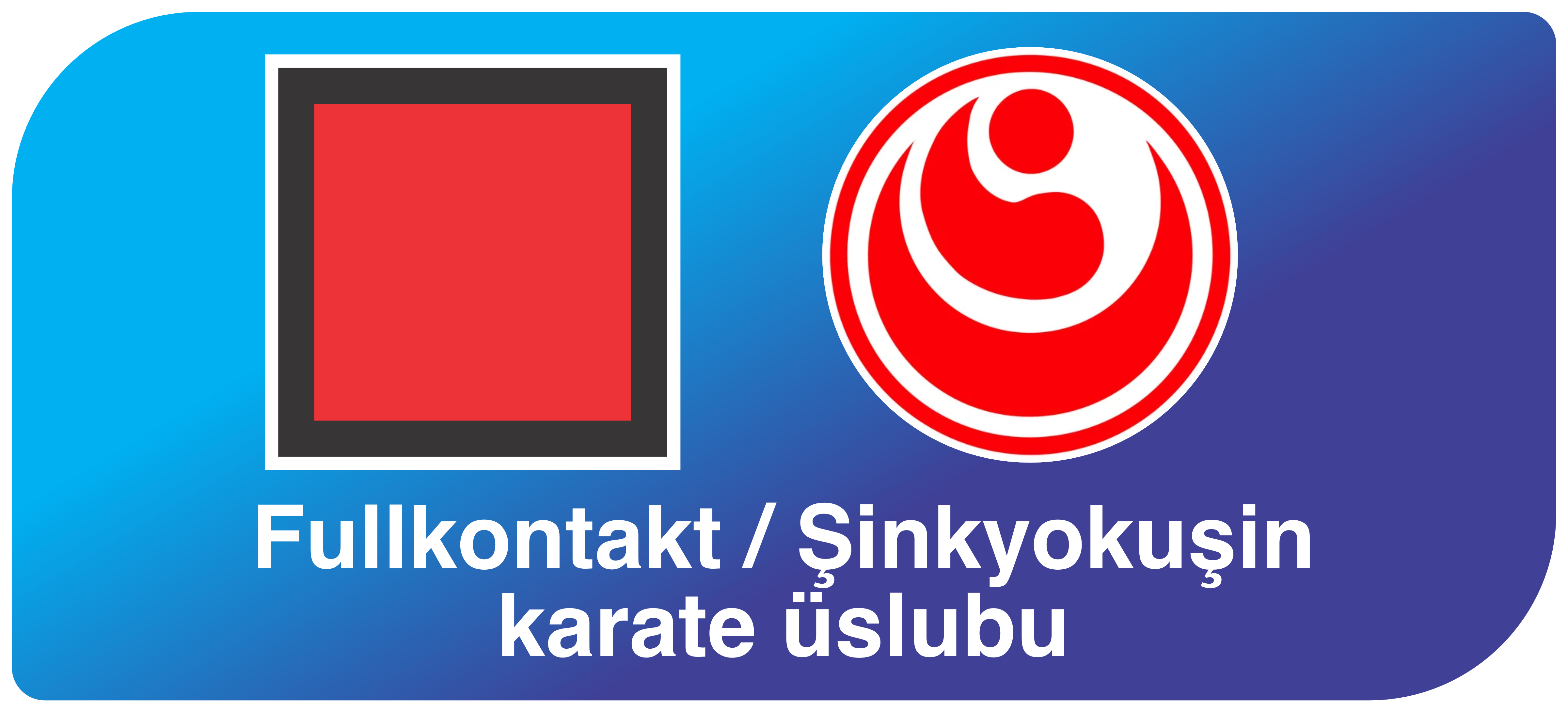 Fullkontakt / Şinkyokuşin karate üslubu